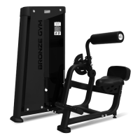 Разгибание спины BRONZE GYM NEO 31